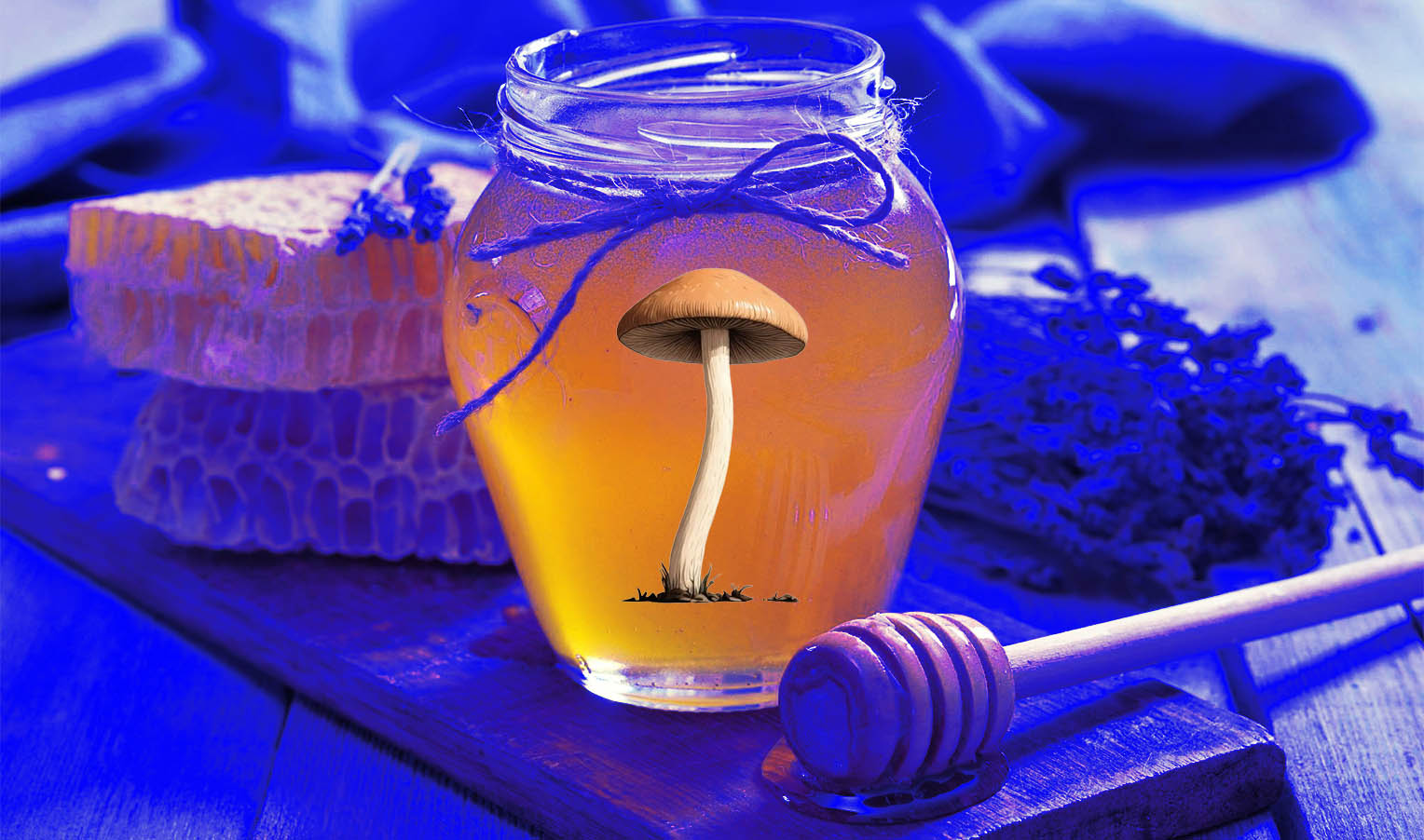 Blue honey: a way to store psilocybin