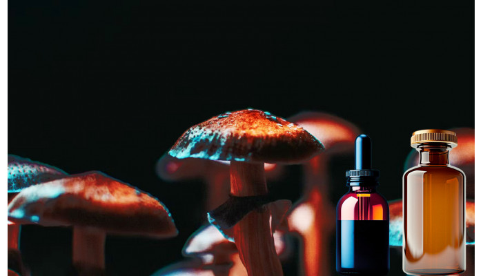 How to make magic mushroom tinctures