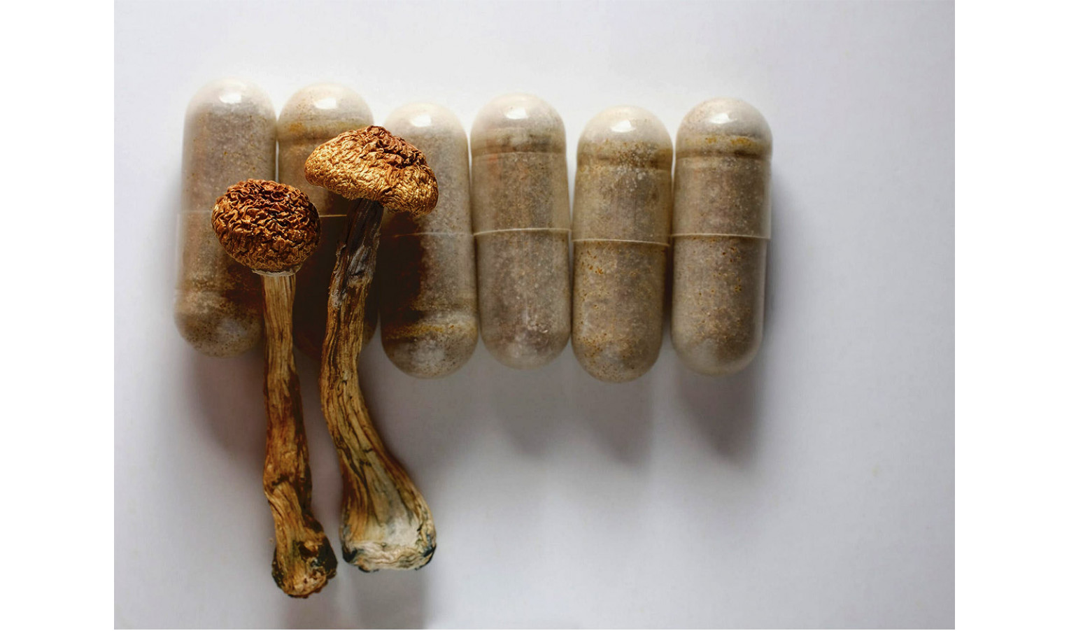 Microdosing of mushrooms: benefits for the body