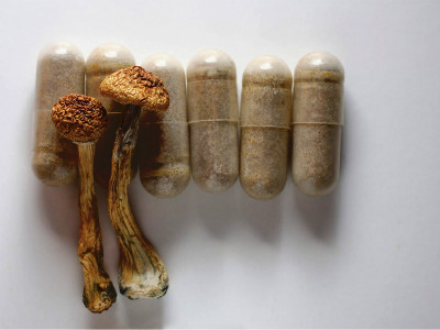 Microdosing of mushrooms: benefits for the body