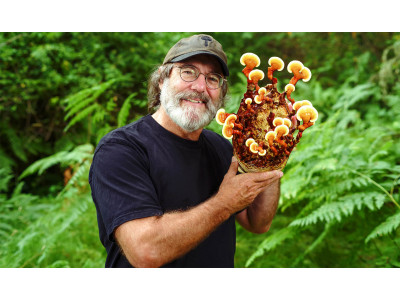 Paul Stamets: legendary mycological scientist