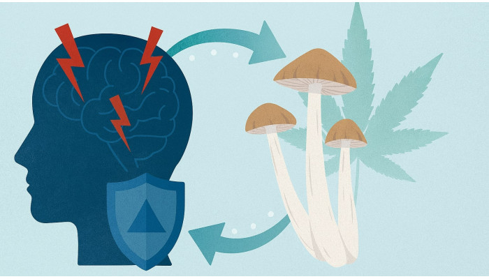 Терапевтичний потенціал: псилоцибін як засіб зниження симптомів ПТСР
