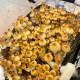 Golden Teacher mushroom spore