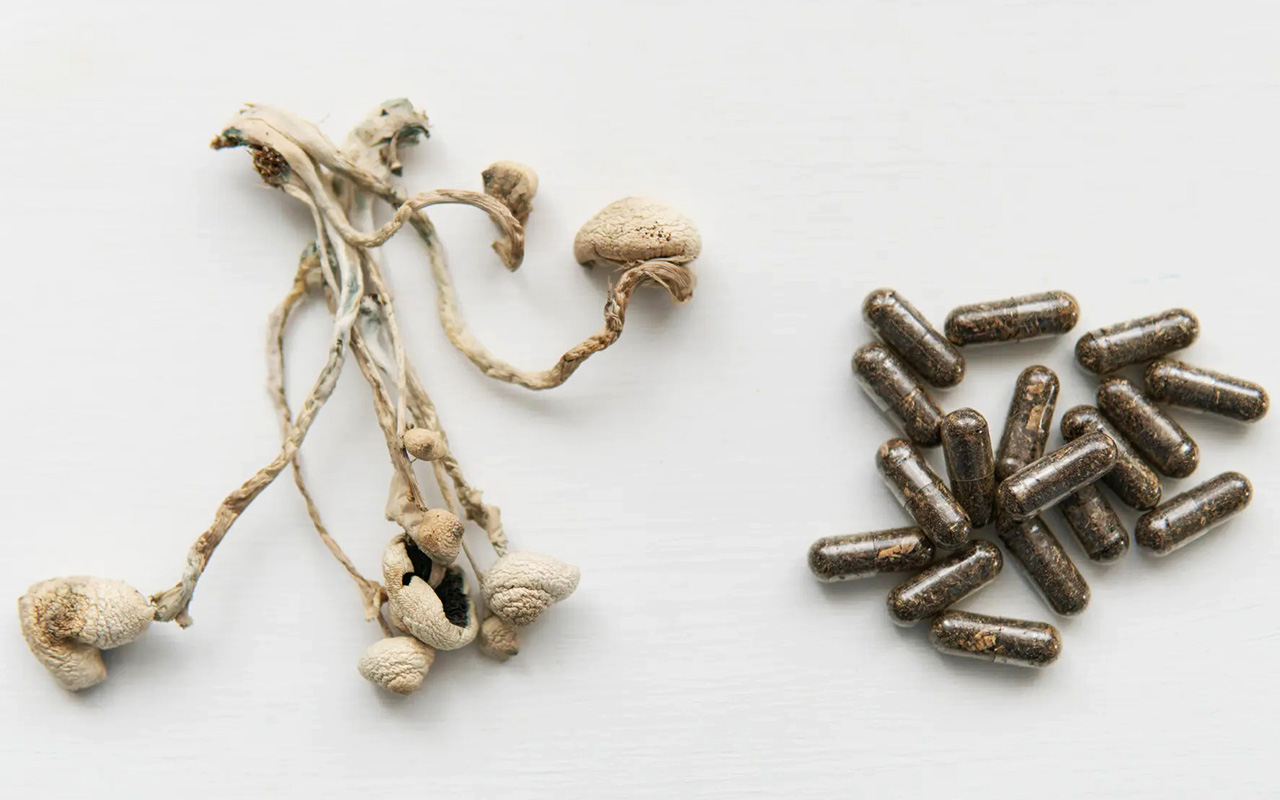 Psilocybin mushrooms and capsules