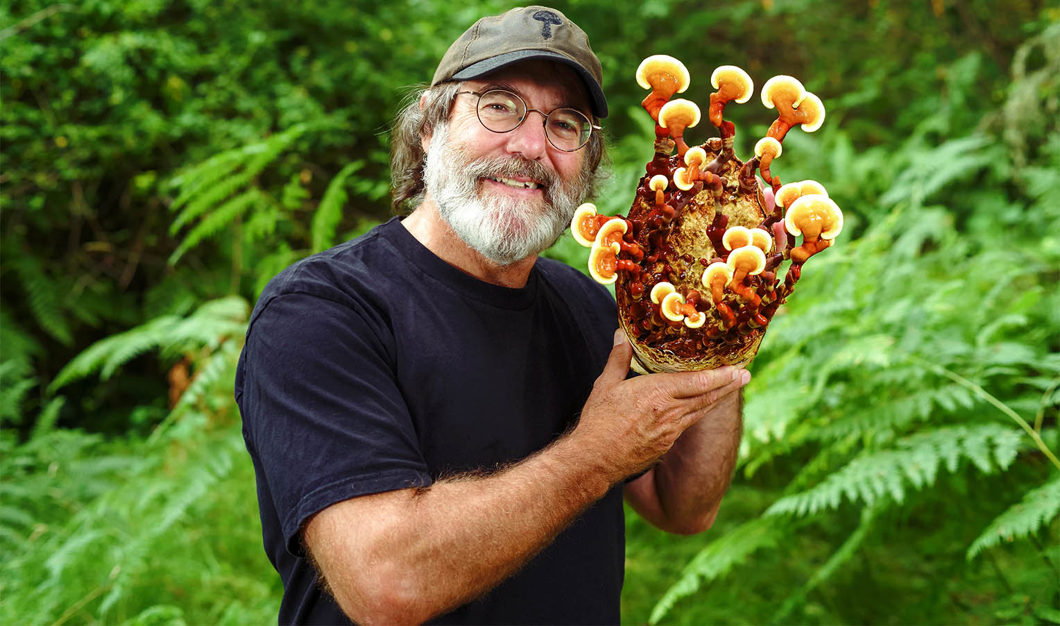 Paul Stamets is a legendary mycologist | Mushroom-shop