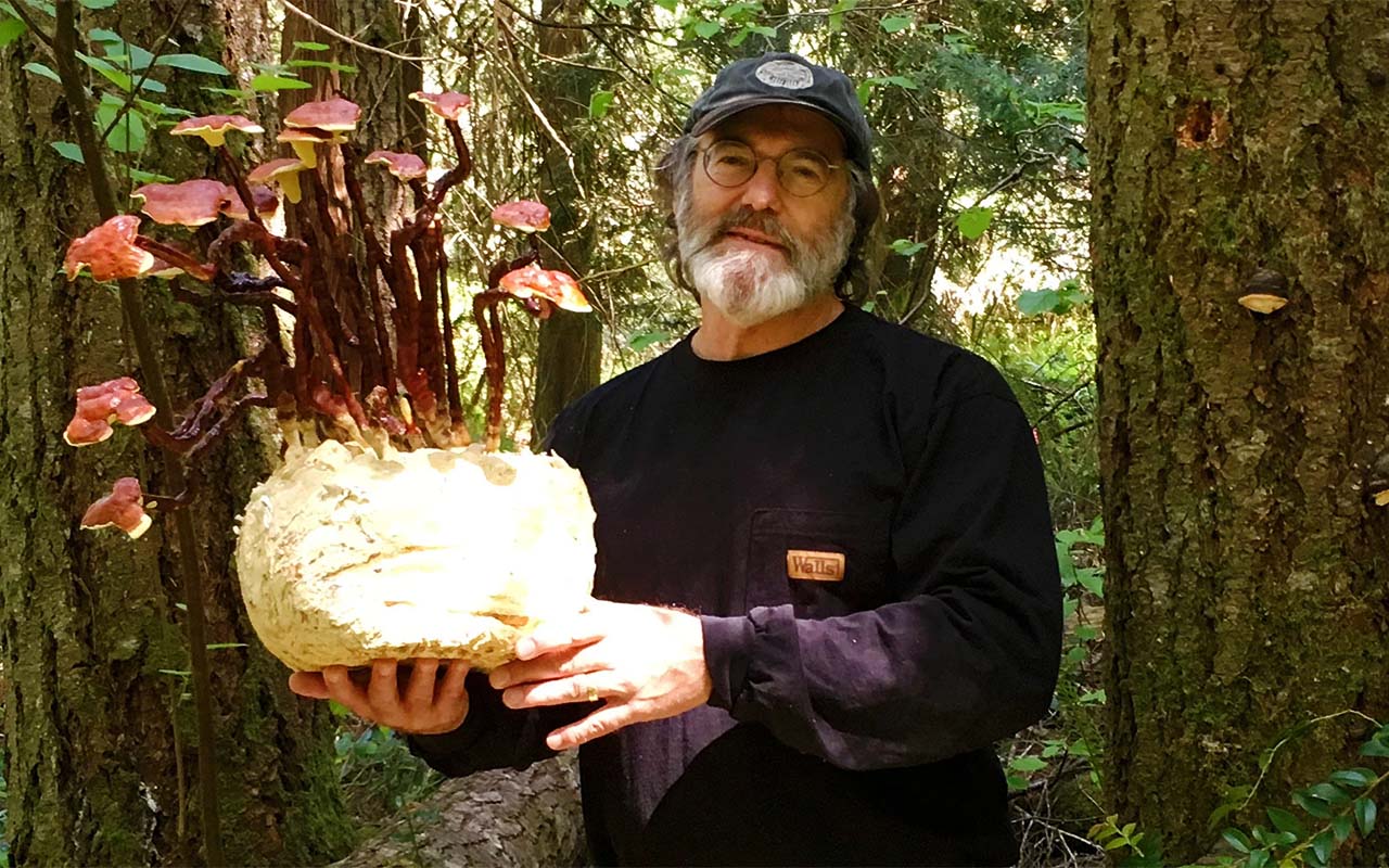 Paul Stamets in the forest with mushrooms in his hands