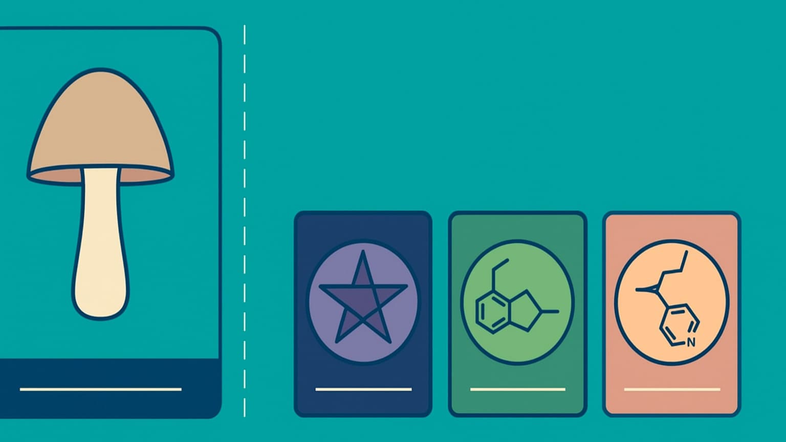 психоделики псилоцибін і лсд